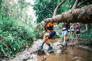 BIB: 
                            <button type="button" onclick="openModal(25375697)" class="btn btn-primary btn-sm float-right btn-popup" data-toggle="modal" data-target=".modal-high-quality">
                        <i class="fas fa-shopping-cart"></i> Add to Cart
                    </button>
                                            <button type="button" onclick="isThisMe(25375697, true)" class="btn btn-success btn-sm float-right btn-popup btn-isme hidden" data-toggle="tooltip" data-placement="bottom" title="นี่คือรูปของคุณใช่ไหม คลิกที่นี่เพื่อเอาเข้าอัลบั้ม">
                        <i class="fas fa-plus"></i> Add to album
                    </button>
                    <button type="button" onclick="isThisMe(25375697, false)" class="btn btn-warning btn-sm float-right btn-popup btn-isnotme hidden">
                        <i class="fas fa-ban"></i> Remove from album
                    </button>